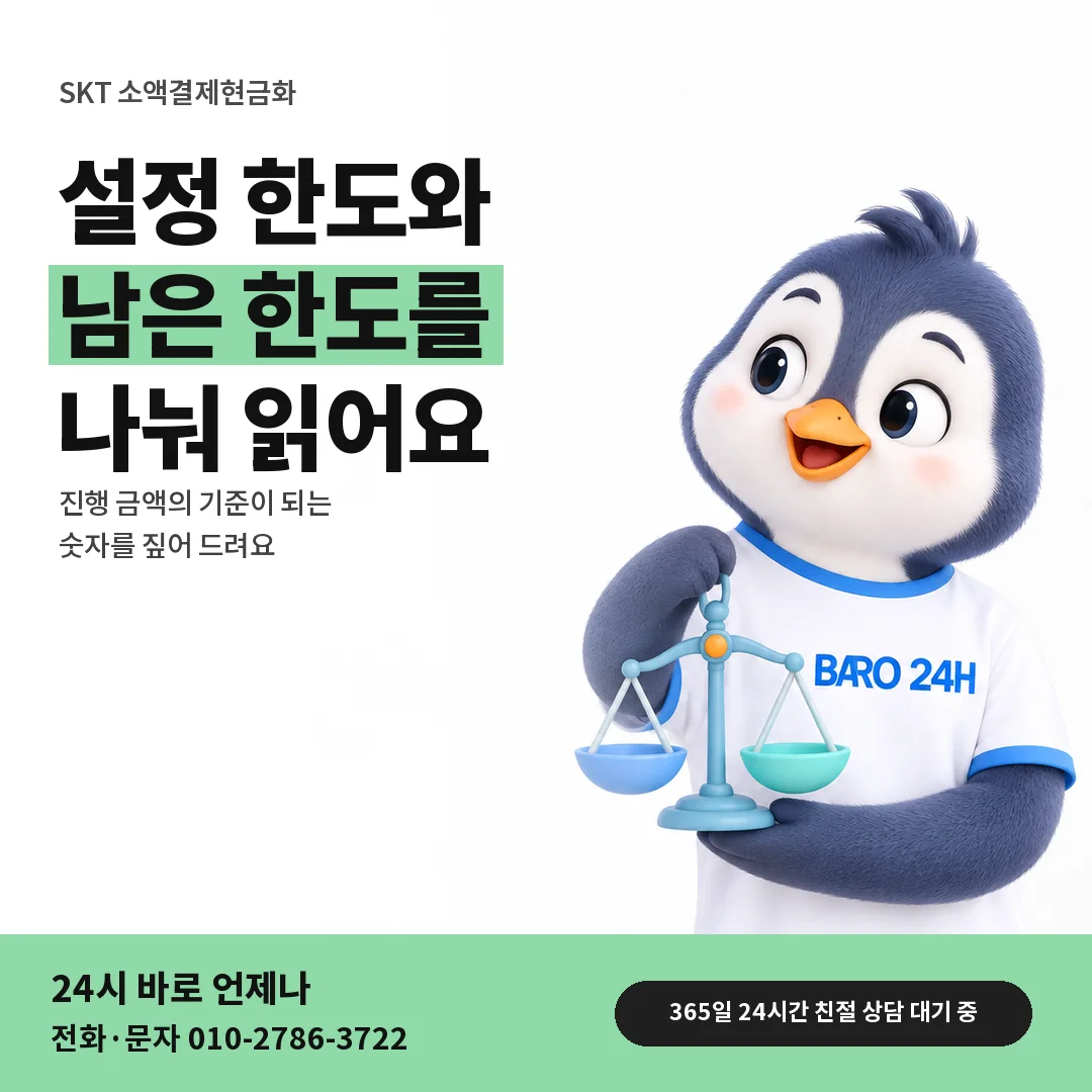 BARO 24H 티셔츠를 입은 3D 동물 캐릭터 옆에 「SKT 설정 한도와 남은 한도」 제목을 얹은 안내 카드